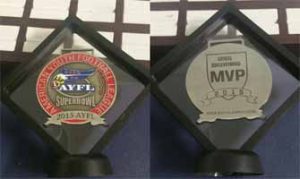 Custom 3D Suspension Awards