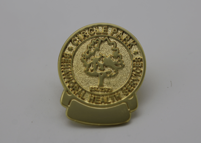 Health Services Pin Badge